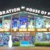 Celebration by house of play (HOP) - Trampoline Park | Game zone | Play zone | Gaming zone | kids birthday Party in Jaipur