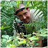 The Adrenalin Jungle