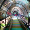 Parque MikeWood