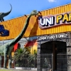 Unipark Parque e Buffet Infantil