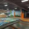 Jungle Jam