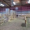 Battleground Orlando