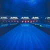 Surge Entertainment