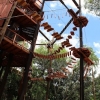 Coral Crater Adventure Park