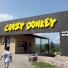 Crazy Donkey Park