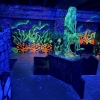 Laser-Tag Fonix
