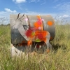 Wilde Weste Paintball Bloemfontein