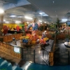 Party Jungle